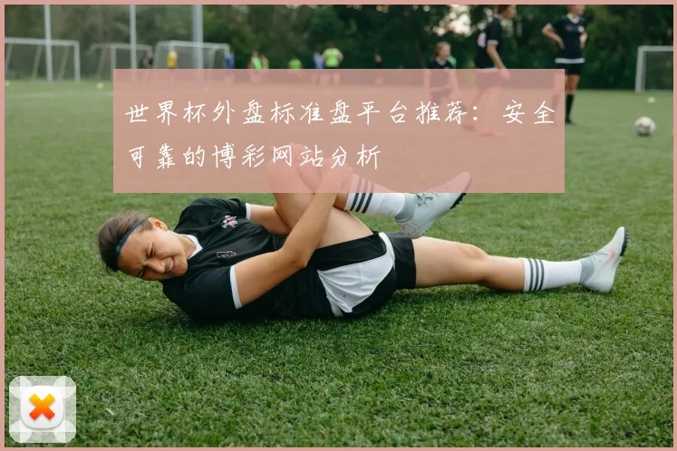 世界杯外盘标准盘平台推荐:安全可靠的博彩网站分析